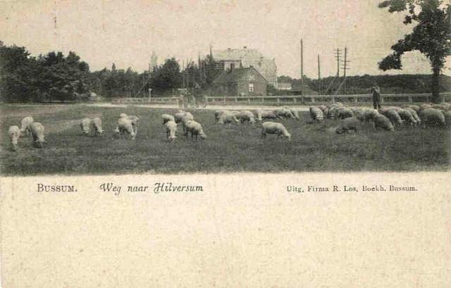 Bussum Weg naar Hil…