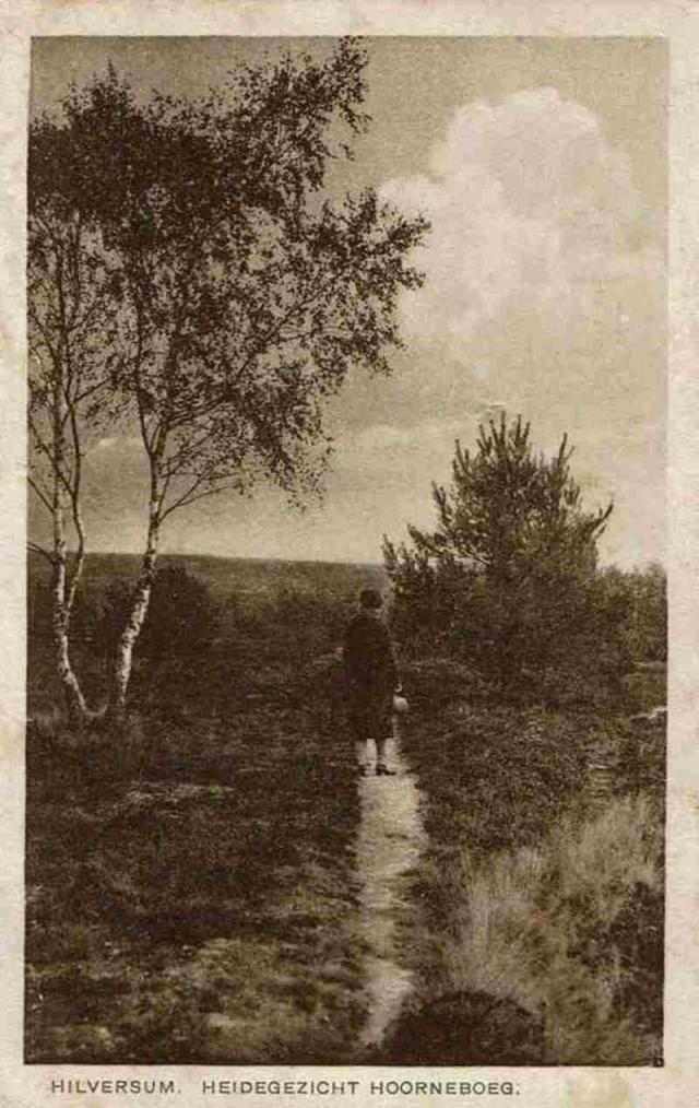 Heidegezicht Hoorne…