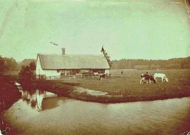 's-Graveland Leeuwe…