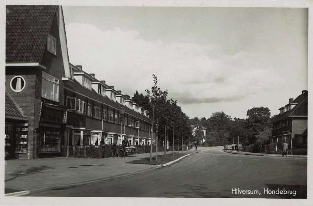 Hilversum, Hondebru…