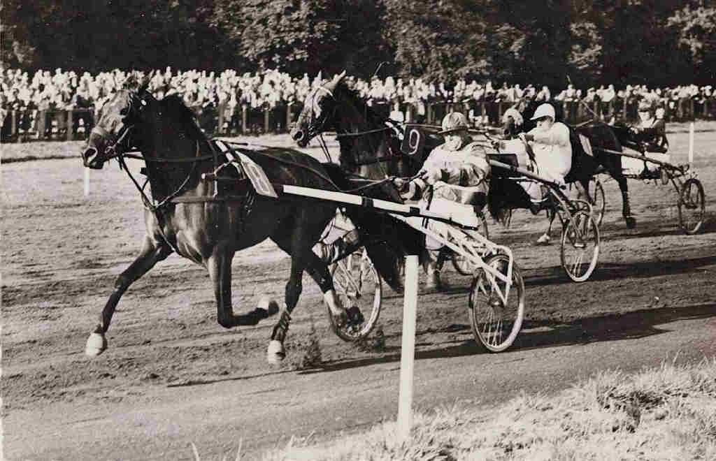 Sportpark+1959+Noordhoff+4